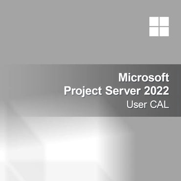 Microsoft Project Server 2022 Felhasználói CAL