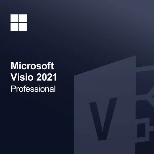 Microsoft Visio 2021 Professioneel