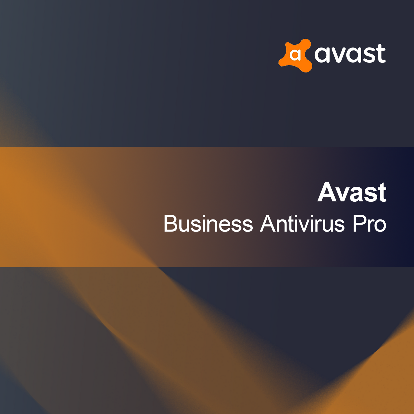 Avast Grundläggande Företagssäkerhet